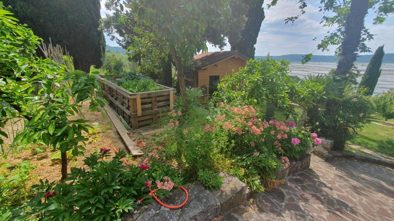Apartment Laurus Portorož Exteriér fotografie